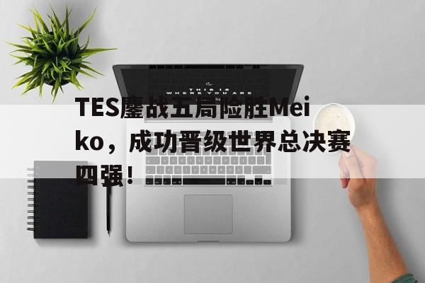 电子竞技app新人注册-TES鏖战五局险胜Meiko，成功晋级世界总决赛四强！